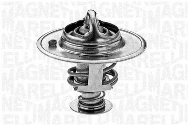 Thermostat, coolant (352032682000)