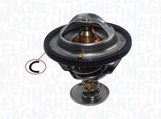 Thermostat, coolant (352317004450)