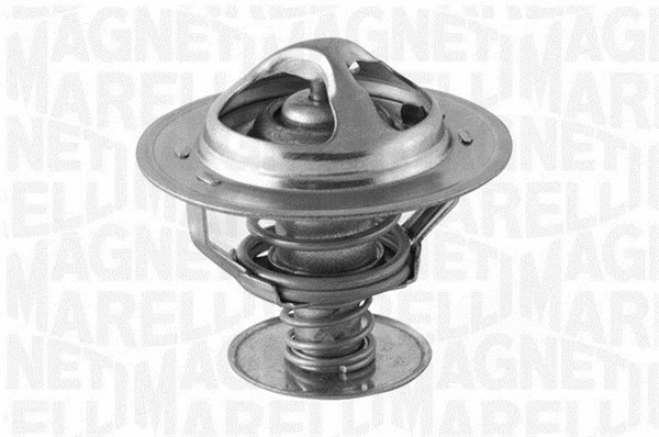 Thermostat, coolant (352051877110)