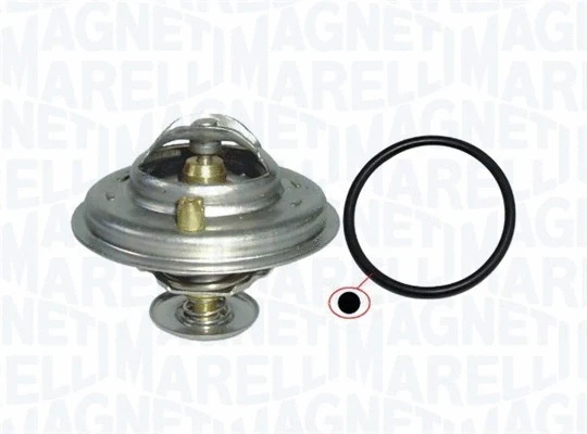 Thermostat, coolant (352317101350)