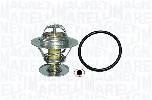Thermostat, coolant (352317000330)