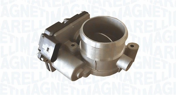Throttle Body (802000000036)