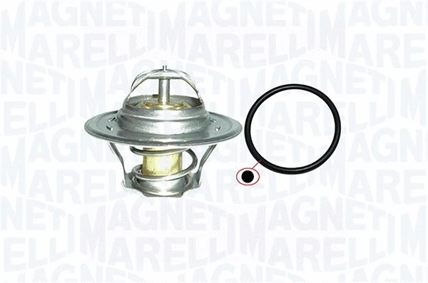 Thermostat, coolant (352317000800)