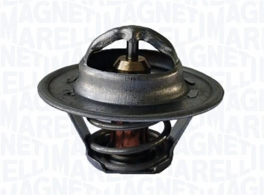Thermostat, coolant (352317002210)