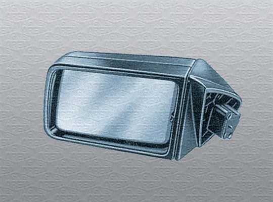 Exterior Mirror (351990001060)