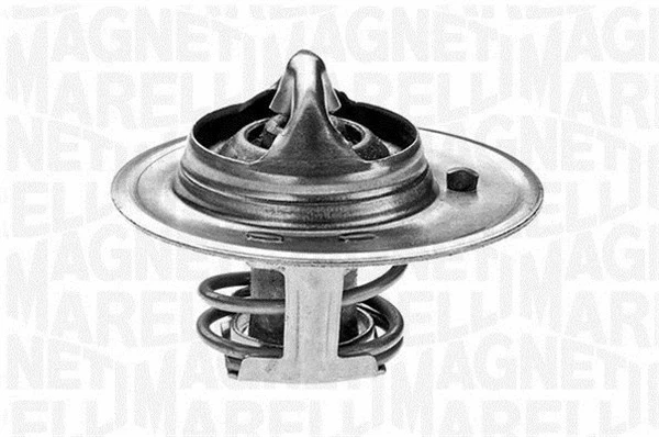 Thermostat, coolant (352024082000)