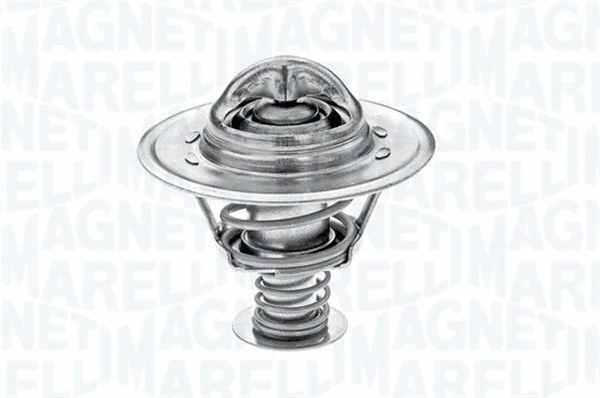 Thermostat, coolant (352022789000)