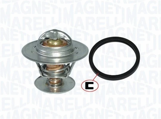 Thermostat, coolant (352317101300)