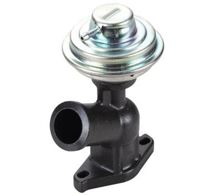 EGR Valve (571822112101)