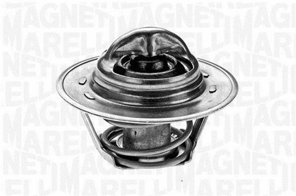 Thermostat, coolant (352020188000)