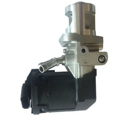 EGR Valve (359004500060)