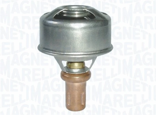 Thermostat, coolant (352317101080)