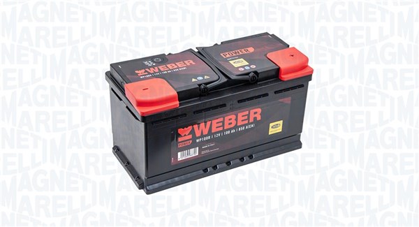 Starter Battery (067100850002)
