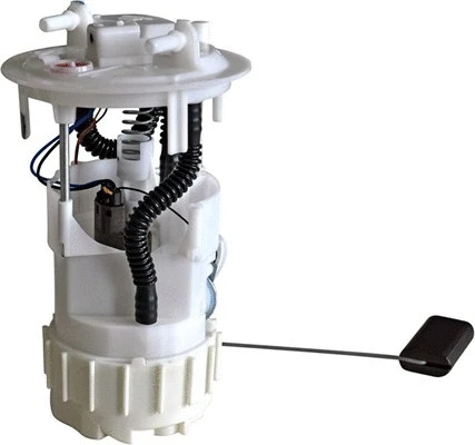 Fuel Supply Module (313011313048)