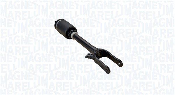 Air Suspension Strut (350611300001)