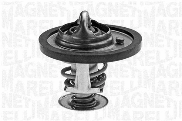 Thermostat, coolant (352038477000)