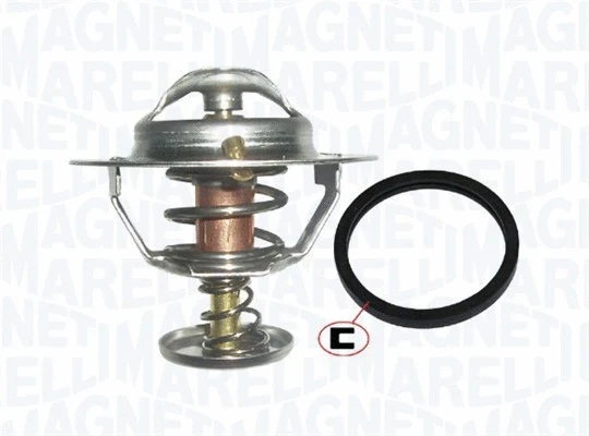 Thermostat, coolant (352317101140)
