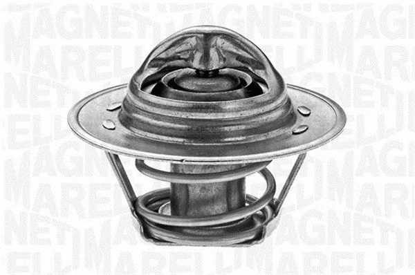 Thermostat, coolant (352030588110)