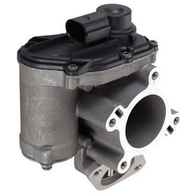 EGR Valve (359000604260)