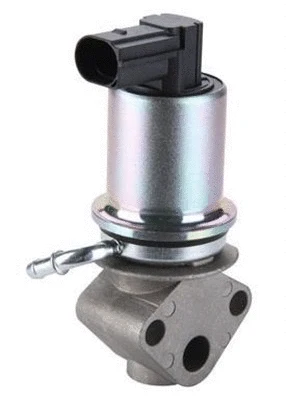 EGR Valve (359000603970)