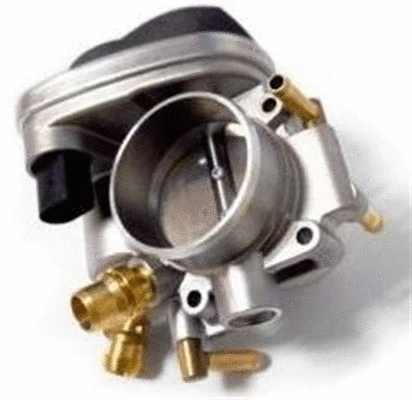 Throttle Body (359000602620)
