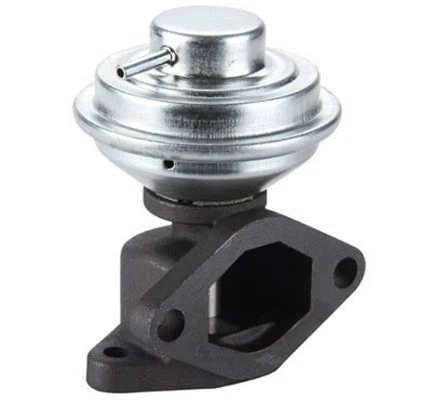 EGR Valve (571822112107)