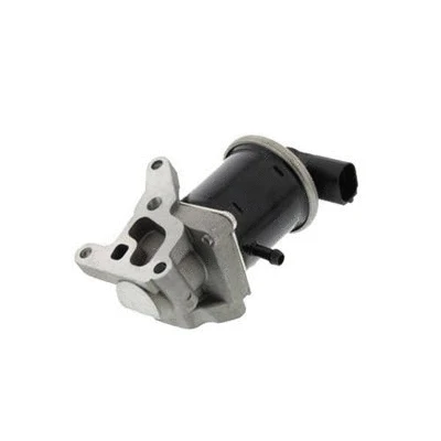 EGR Valve (571822112068)