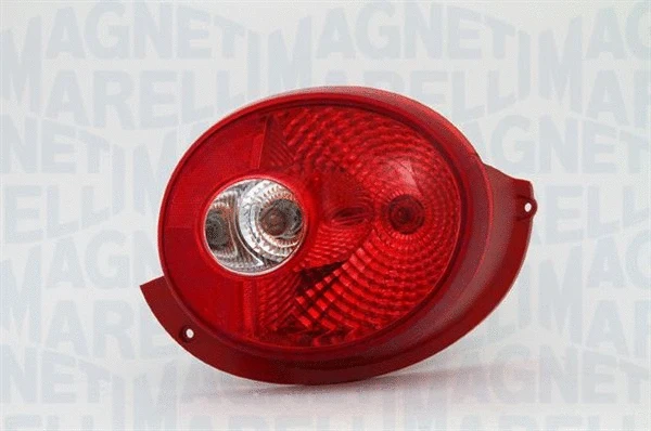 Tail Light Assembly (720121118022)