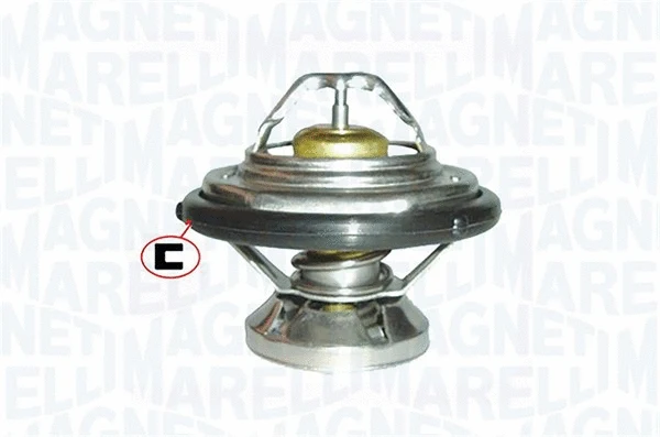 Thermostat, coolant (352317000640)