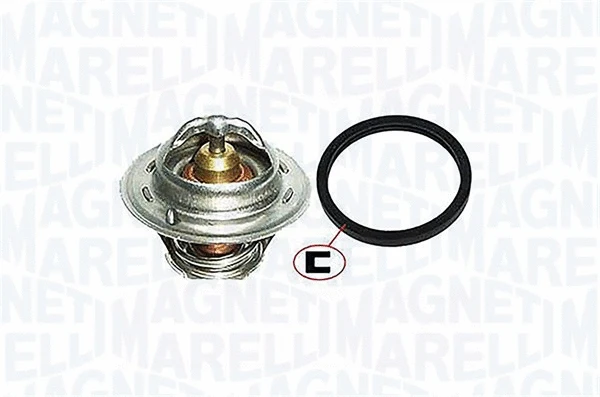Thermostat, coolant (352317000320)