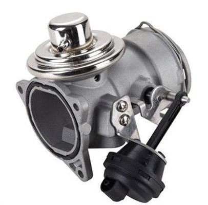 EGR Valve (359000604040)