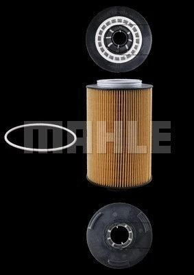 Oil Filter (154072350182)