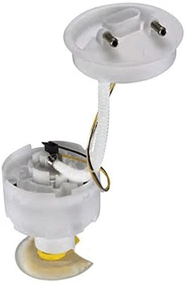 Fuel Supply Module (313011313033)