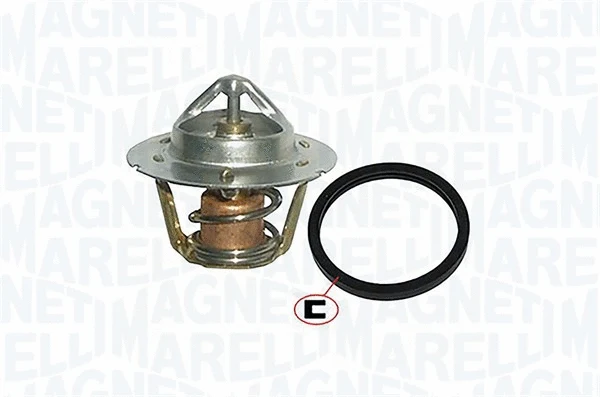 Thermostat, coolant (352317000200)