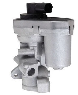 EGR Valve (359000604320)