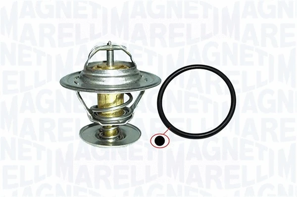 Thermostat, coolant (352317001000)