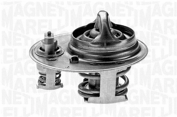 Thermostat, coolant (352041488000)