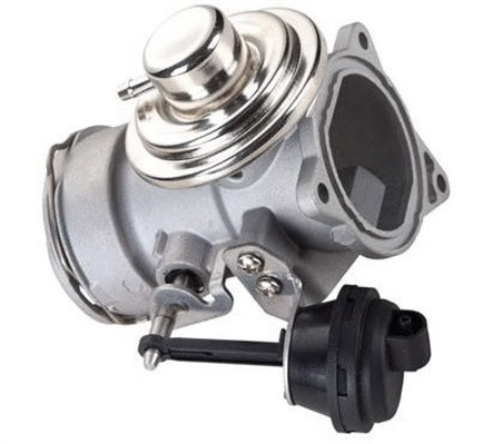 EGR Valve (359000603890)
