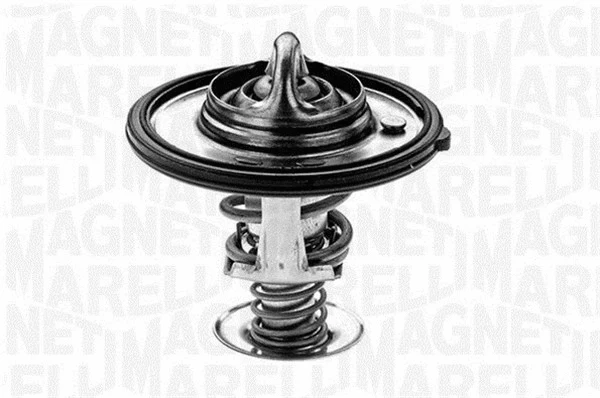 Thermostat, coolant (352053282000)