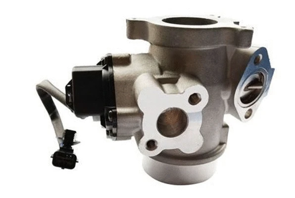 EGR Valve (359000604230)