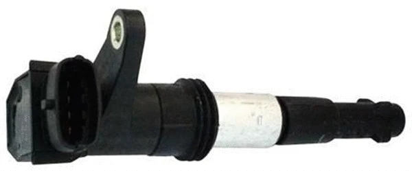 Ignition Coil (060717141012)