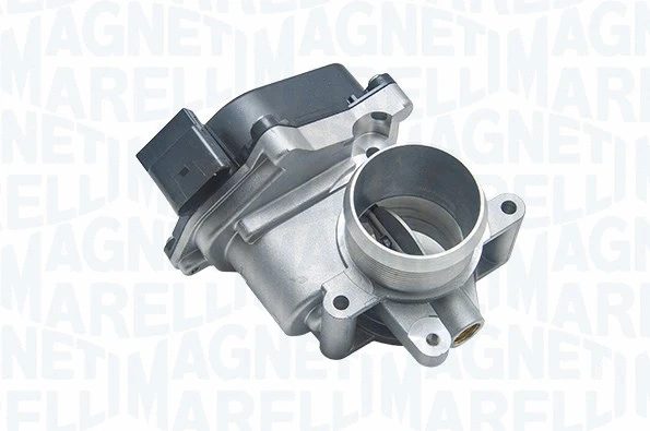 Throttle Body (802000000102)