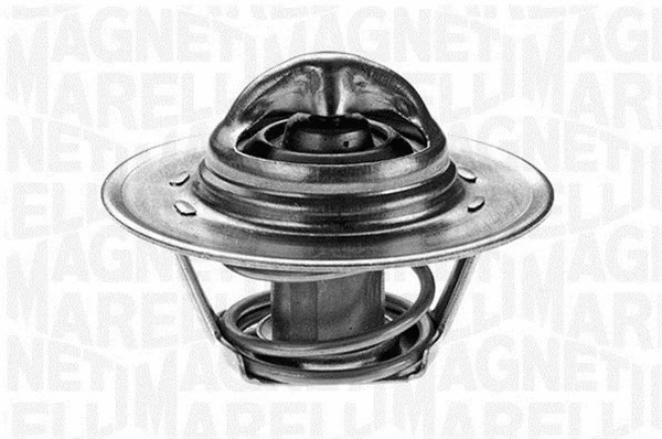 Thermostat, coolant (352027682000)