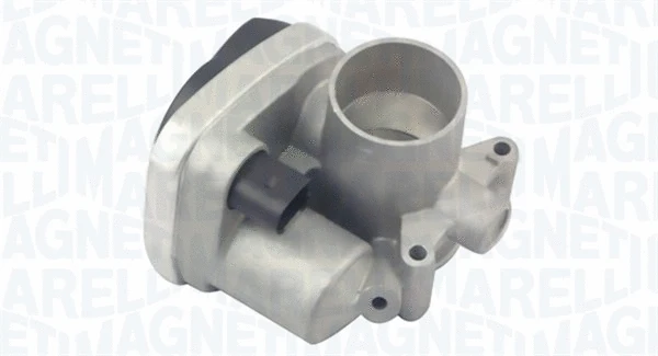 Throttle Body (802000000028)