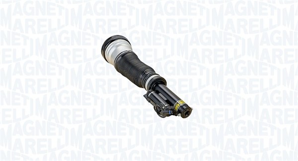 Air Suspension Strut (350243800001)