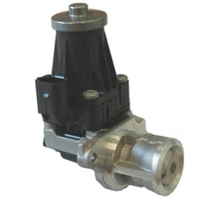 EGR Valve (571822112072)