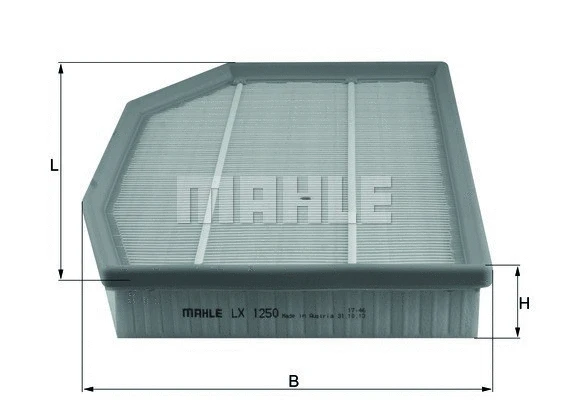 Air Filter (154003154020)