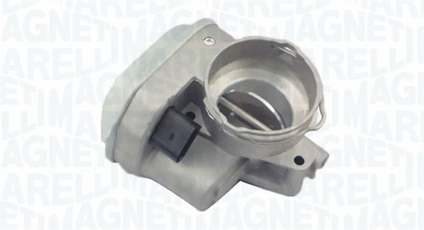 Throttle Body (802000000024)