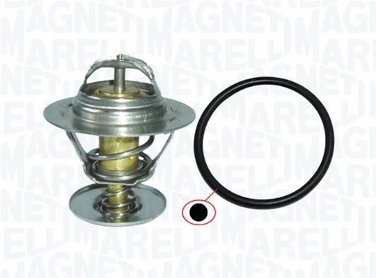 Thermostat, coolant (352317100330)