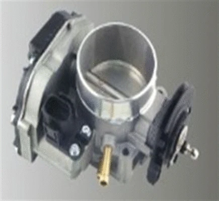Throttle Body (359000602890)